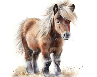 12 High Quality Designs of Shetland Ponies Clip Art 12 JPGs - Digital Print, Watercolour, Wall Art, Commercial Use - Digital Download