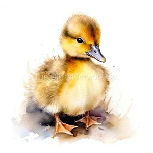 12 High Quality Designs of Fluffy Ducklings Clip Art 12 JPGs - Digital Print, Watercolour, Wall Art, Commercial Use - Digital Download