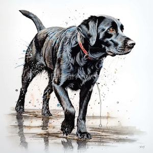 12 High Quality Designs of Black Labradors Clip Art 12 JPGs - Digital Print, Watercolour, Wall Art, Commercial Use - Digital Download
