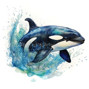 18 High Quality Designs of Watercolour Orcas Clip Art 12  JPGs - Digital Print, Watercolour, Wall Art, Commercial Use - Digital Download