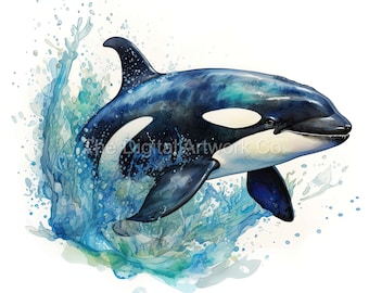 Watercolor Orca Clipart – Whale Designs (Digital Download)