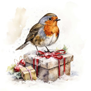 12 High Quality Designs of Robins With Presents Clip Art 12 JPGs - Digital Print, Watercolour, Wall Art, Commercial Use - Digital Download