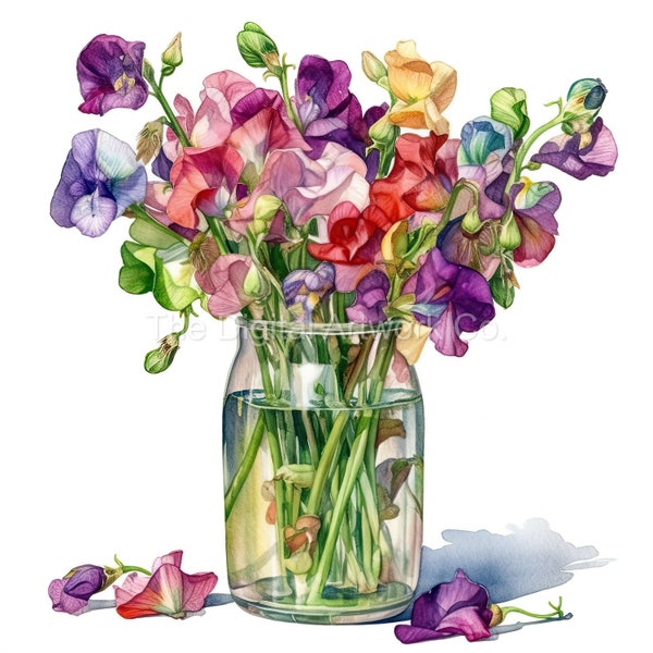 12 High Quality Designs of Vases of Sweet Peas Clip Art 12 JPGs - Print, Watercolour, Wall Art, Commercial Use - Digital Download