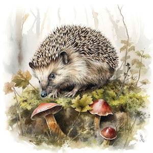 12 conceptions de haute qualité d'adorables hérissons Clip Art 12 JPG - Impression numérique, aquarelle, art mural, utilisation commerciale - Téléchargement numérique