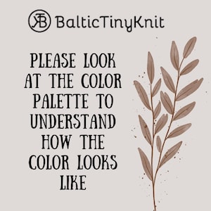 May include: A light beige informational graphic featuring the text BalticTinyKnit and the instruction PLEASE LOOK AT THE COLOR PALETTE TO UNDERSTAND HOW THE COLOR LOOKS LIKE. To the right is a brown botanical illustration of a leafy branch.