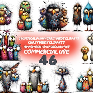 46 grillige gekke wezens Cliparts bundel - eigenzinnige vogel clipart, sarcastische vogels, afdrukbare transparant, digitale download, commercieel gebruik