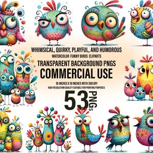 53 Paquete de imágenes prediseñadas de aves caprichosas / Obras de arte de aves extravagantes / Aves de acuarela PNG / Juguetón / Expresión de caras de pájaros PNG / Uso comercial