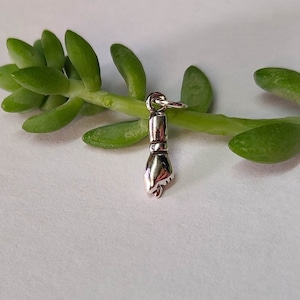 May include: Silver charm in the shape of a hand with a raised fist. The charm is hanging from a green succulent plant.
