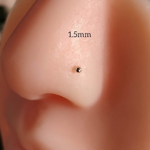 Piercing para la Nariz - Piercings de Plata - Pendiente Nariz