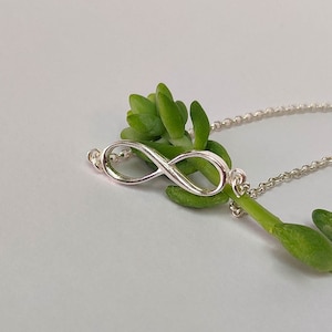 May include: A silver infinity symbol charm necklace with a delicate chain. The necklace is displayed on a green succulent plant.