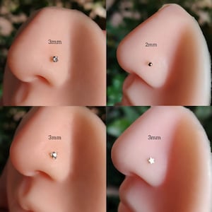 Nose Piercing Bundle + FREE Nose Piercing - Nose Piercing Jewelry - Stud Nose Piercings - Nostril Piercing Stud - Nose Ring - Gift For Her