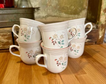 set of 6 Design Concepts Strawberry Field stoneware collection by JMP Marketing