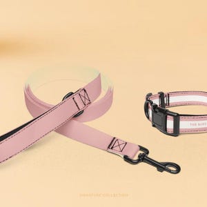 Dog Collar and Leash Set - Pink Rosé - Matching Set for Small to Large Dogs - Minimalist Pet Accessories - Everyday Dog Walking Gear