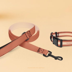Dog Collar and Leash Set - Orange Matching Set for Small to Large Dogs - Minimalist Pet Accessories - Everyday Dog Walking Gear