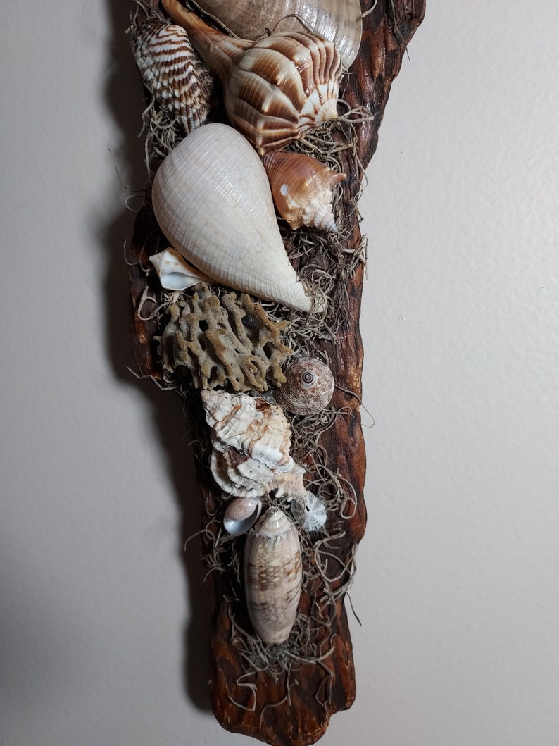 Seashell Wall Hanging Etsy