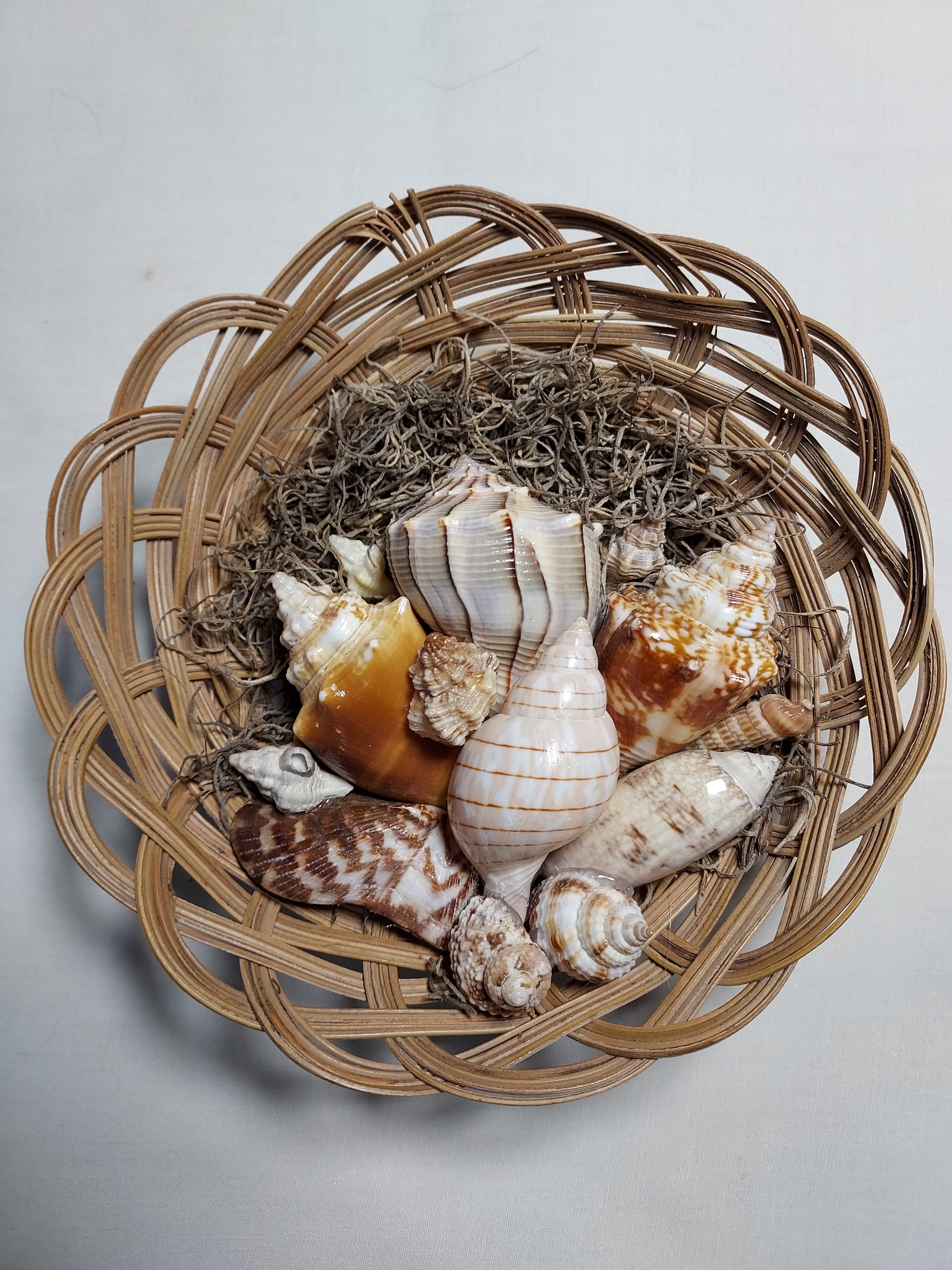 Seashell Wall Basket -  Canada