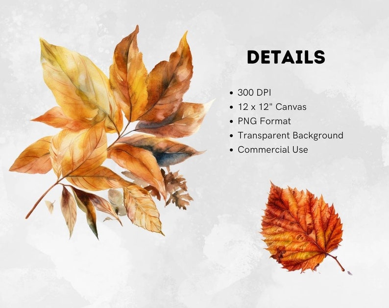 Autumn Leaves Watercolor Clipart Bundle - 36 PNG Cozy Fall Images ...