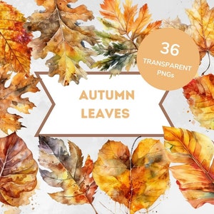 Autumn Leaves Watercolor Clipart Bundle - 36 PNG Cozy Fall Images ...