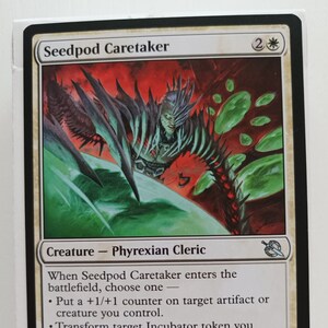 Zelador de Sementes – Slawomir Maniak – Magic: the Gathering Artproof