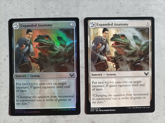 mtg card anatomy Magic: The Gathering Secret Lair: MTG Monster Anatomy 101 : Amazon.ae: Toys
