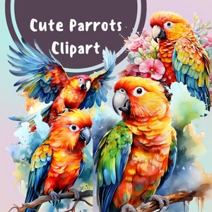 12 PNG lindo loro acuarela clipart, loros clip art, selva vivero pared arte impresión, impresión de aves tropicales, sublimación de loros, comercial