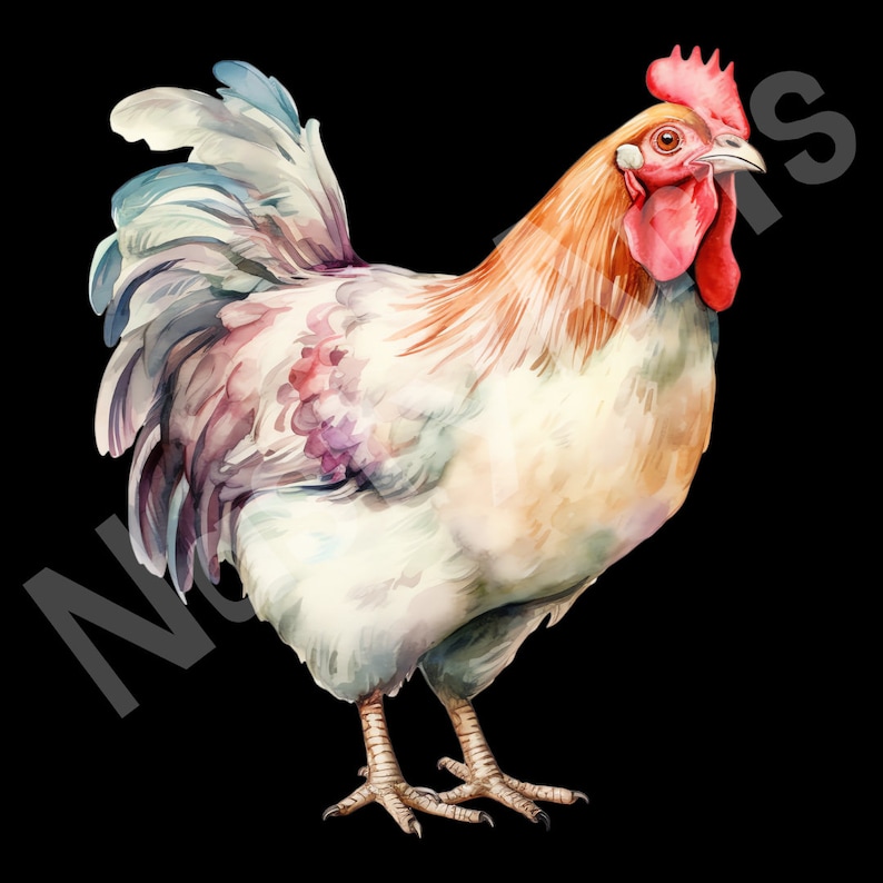 Watercolor Chickens Clipart: 32 Farm Animal PNG Bundle (digital ...