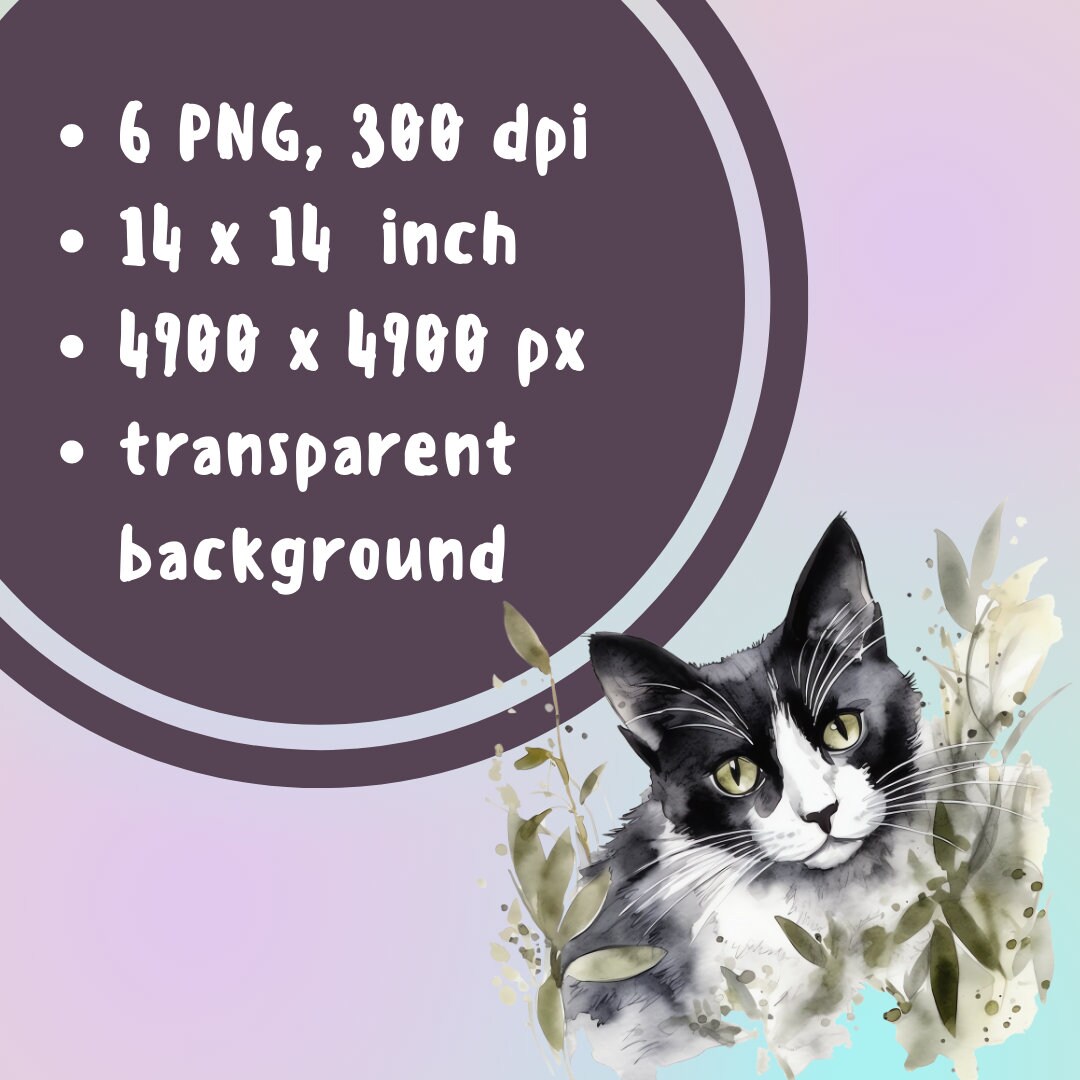 Watercolor Cat Clipart: Black and White Kitten PNG (digital Download ...
