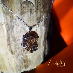 Natural Ammonite Necklace - Real Fossilized Ammonite Pendant