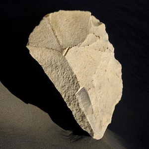 Neolithic Ax Neolithic archeology Prahistoric Stone