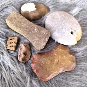 Puede incluir: Una colección de cinco piedras diferentes, incluyendo una piedra marrón y blanca, una piedra marrón, una piedra gris, una piedra marrón y roja, y una piedra marrón con un diseño tallado.