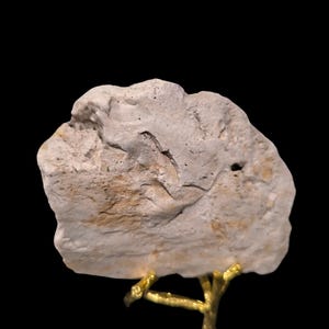 May include: A white, rough, and textured rock with a gold metal stand. The rock has a natural, organic shape and a light brown color.
