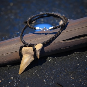 Op de afbeelding: Een haaientand hanger ketting met een gevlochten zwart leren koord. De tand is lichtbeige van kleur en het koord wikkelt zich om de tand. De ketting heeft een zilveren sluiting.