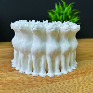 Cat pen holder kitty flower pot