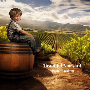 Beautiful Vineyard Digital Background Wine Barrels in a Vineyard Photography Background  for Nature Creative Composite Images