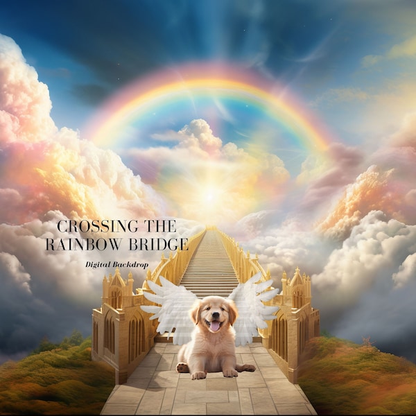 Cross the Rainbow Bridge Digital Backdrop Way to Heaven Photography Background for Pet Loss Memorial Background Pet Angel Wings PNG file