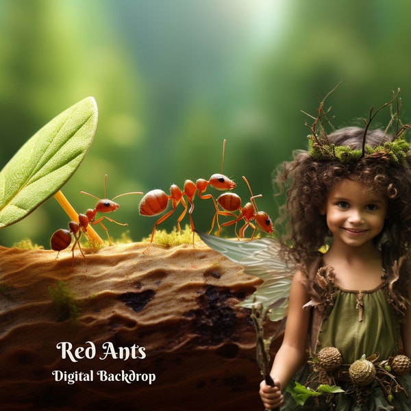 Red Ants Digital Backdrop Life of a Bug Photo Background for Giant Ants in Nature Composite Images Macro Photography Creative Background