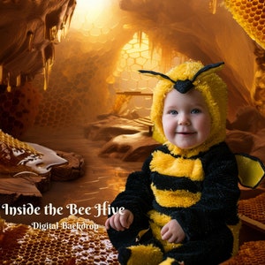 Inside the Bee Hive Digital Backdrop Bee&#39;s Home Digital Background for Nature and Animal Lover Creative Images For Honey Bees Creative Photo