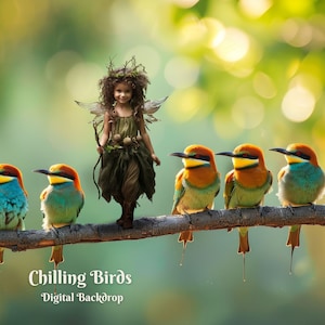 May include: A whimsical digital backdrop featuring a fairy-like figure with green wings and a dress standing on a branch with a line of colourful birds perched on the branch. The text "Chilling Birds - Digital Backdrop" is at the bottom of the image.