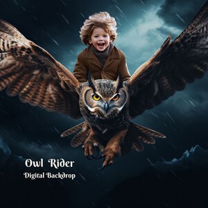Owl Rider Digital Backdrop Fisherman Toad Photo Background Fantasy Digital Background Frog on a Rock Backdrop for Creative Composites