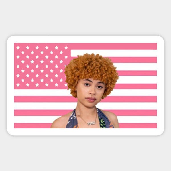 Ice Spice Flag Etsy