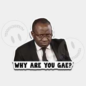 Op de afbeelding: Een sticker met een man in een zwart pak en stropdas, met een bril en een serieuze uitdrukking. De tekst "WHY ARE YOU GAE?" is gedrukt in vette, witte letters. Twee smiley-logo's staan op de achtergrond.