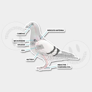 Può includere: Un'illustrazione di un piccione bianco con segni neri, che mostra vari componenti interni etichettati, tra cui un'antenna wireless, telecamere, microfono, altoparlante, CPU, batteria e bobina di ricarica induttiva.