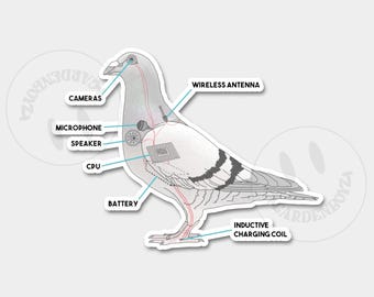 Birds Aren't Real V2 Sticker | Funny Sticker