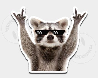 Party Waschbär | Witziger Sticker