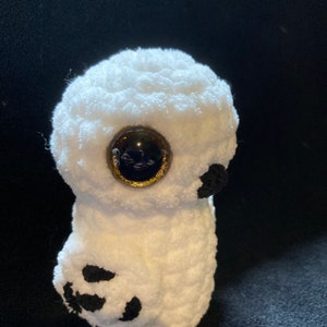 Hedwig