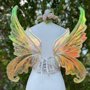 Costume Fairy Wings for Photoshoot Adult Size Cosplay Pink Green Purple Gold Iridescent Fantasy Wearable Butterfly Made to Order