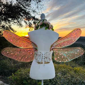 Dragonfly Fairy Wings goud roze groen volwassen grootte iriserend Rave Festival Cosplay Fairy Fantasy draagbaar kostuum op bestelling gemaakt