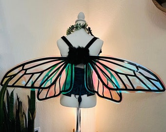 Bee Wings Extra Large with Straps Adult Cosplay Costume Insect Bug Bumble Yellow Black Iridescent Fairy Butterfly