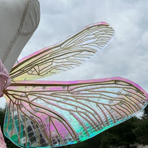 K&ouml;nnte beinhalten: Ein Paar regenbogenfarbene Feenfl&uuml;gel mit einem goldenen Drahtrahmen. Die Fl&uuml;gel bestehen aus einem klaren Kunststoffmaterial mit holografischem Finish. Die Fl&uuml;gel sind an einem wei&szlig;en Mannequin befestigt.