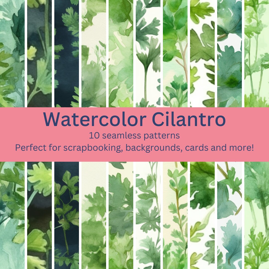 10 Fresh Digital Seamless Cilantro Watercolor Patterns : Designs for ...